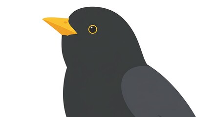 Blackbird's Gaze