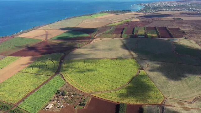 Aerial view of agricultural fields displaying a patchwork of green, brown, and tan hues, near the coast, Bambous, Rivi&egrave;re Noire District, Mauritius.