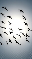 Ephemeral Flight