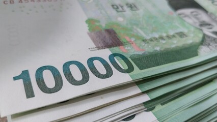 한국 오만원 만원권 지폐이미지