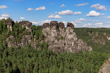 Massive stone pillars surrounded by pine trees. Concept of natural strength and geological structure.