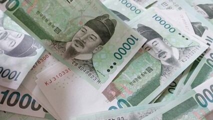 한국 오만원 만원권 지폐이미지