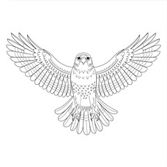 Obraz premium Line art illustration of a majestic hawk in flight with open wings scalable vector graphic for design projects silhouette