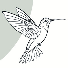 Elegant black and white line art illustration of a hummingbird in flight with detailed wings and beak against a soft green abstract background