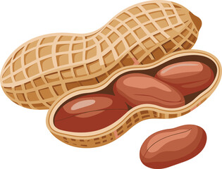 Peanut shell vector, opened pod with seeds, realistic nut illustration, brown textured casing, organic food design, agricultural produce graphic