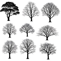 Winter's Silhouette Collection