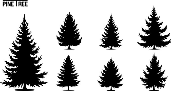 Set of Pine Tree Silhouette Vectors Bundle