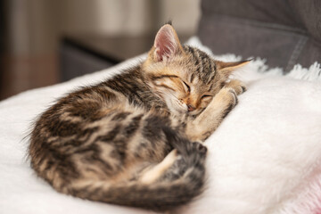 A small brown tabby kitten sleeps peacefully on a soft white pillow