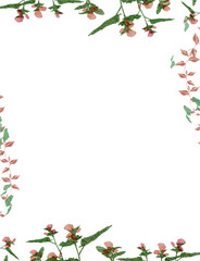 pink green colorful abstract illustration, background, wallpaper, card invitation design