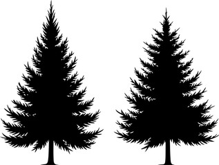 Fototapeta premium Pine Tree Silhouette Illustration