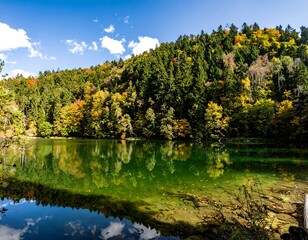 Autumn lake surrounded by colorful trees