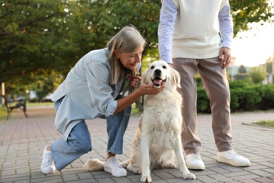 Senior couple with adorable Golden Retriever dog outdoors, closeup