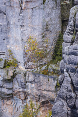 Rocky walls of Szczeliniec Wielki massif in Table Mountains National Park, Sudetes in Poland