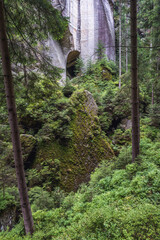 Rock covered with moss in Teplice Rocks, part of Adrspach-Teplice landscape park in Czech Republic