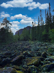 A rocky mountain range with a few trees in the foreground