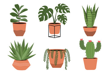 Variety of Potted Plants Illustration Set. Suitable for clip art, stickers, flat design illustration, etc