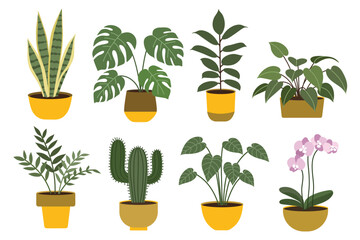 Hand drawn flat houseplants collection. Suitable for clip art, stickers, flat design illustration, etc
