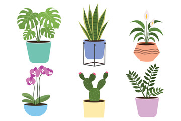 Houseplants in Colorful Pots Collection. Suitable for clip art, stickers, flat design illustration, etc