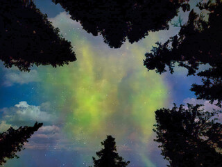 The sky is filled with stars and a green aurora