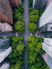 Aerial View of Urban Intersection with Lush Green Trees and Roads