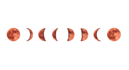 Crescent and waning moon phases in night sky, realistic red-gold vector sequence showing lunar cycle from new moon to waxing, waning, and full moon. Astronomy, space, astrology, and celestial design c