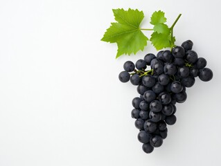 Shimmering Black Grapes on White Background for Dystopian Themes