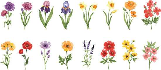 Colorful flower illustration collection, diverse floral species with stems and leaves, botanical vector art, seasonal nature design for decorative themes © fmfahim creatives