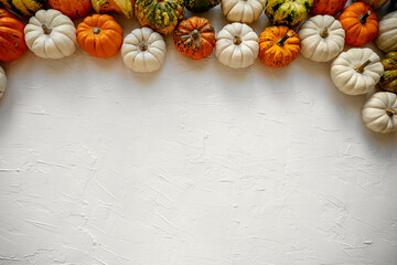 Baby Boo Pumpkins and gourds in various sizes and colors arranged in a flatlay creating an autumnal border on a white textured background, perfect for Thanksgiving, Halloween, or recipe layouts