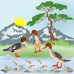 Ducks Mergus merganser by the lake fishing in the foothills landscape watercolor vintage vector illustration editable hand drawn