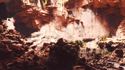Sunlight filters through the rocky crevices of a deep canyon. Lush green plants peek through the stony terrain, creating a captivating contrast with the rugged walls. Natures artistry unfolds.
