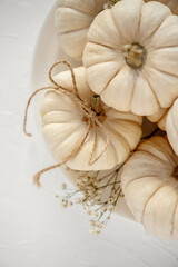 White Baby Boo pumpkins arranged with natural twine and delicate baby's breath, creating a charming and rustic flat lay composition suitable for fall decorations, Thanksgiving, and Halloween concepts