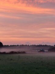 Fantastic orange and purple foggy sunset at the field in the countryside, nature miracles, silhouettes of the trees at the horizon, fantastic colorful sky