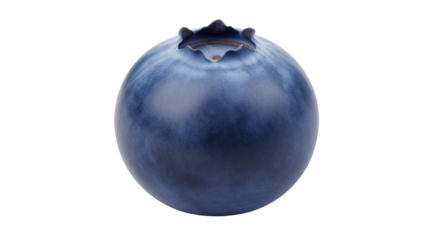 Isolated blueberry close up, ripe and ready to eat, healthy single fruit still life detail