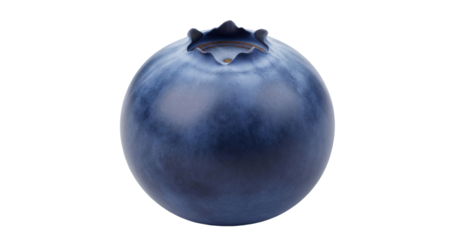 Isolated blueberry close up, ripe and ready to eat, healthy single fruit still life detail