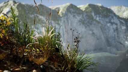 Vibrant green plants and grass thrive at the edge of a scenic cliff, with breathtaking mountains rising in the background under clear blue skies and bright sunlight. Natures beauty unfolds.