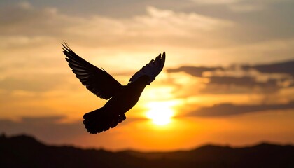 Fototapeta premium Silhouette of a dove in flight at sunset
