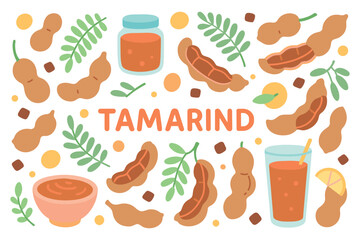 Tamarind: pods, leaves, juice, and paste illustration on white background