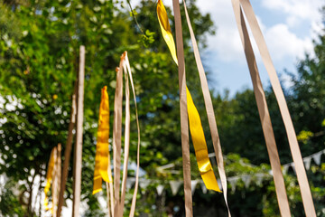 Fototapeta premium Colorful Ribbons Decorate a Lively Outdoor Setting with Green Trees and Bright Blue Sky, Creating a Festive Atmosphere Perfect for Celebrations and Joyful Gatherings in Nature