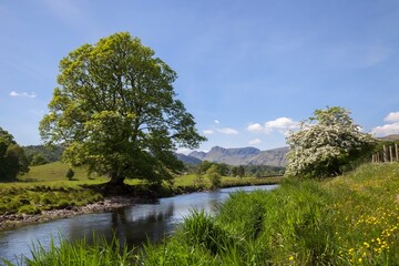 Fototapeta premium Elterwater looking towards the Langdale Pikes, The Lake District, Cumbria, England