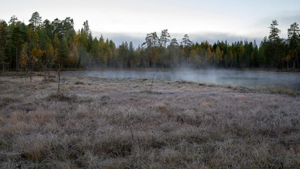 Paysage de Laponie en Finlande à l'automne