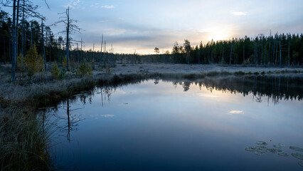 Paysage de Laponie en Finlande à l'automne