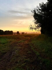 Fototapeta premium fantastic colorful sky after the sunset, fog at the field, countryside fantastic purple evening