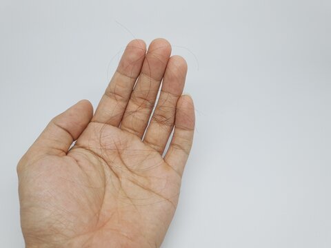 Hand holding strands of hair on white background, concept of hair loss, shedding, or beauty care.