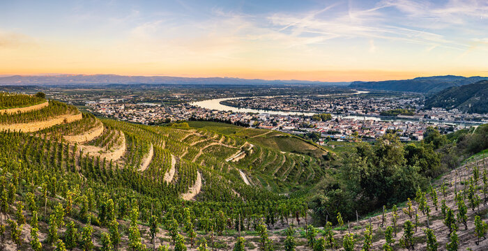 Sunset over Vineyards of Tain Hermitage, Rhone Valley, France &ndash; Famous Wine Region and Scenic Landscape