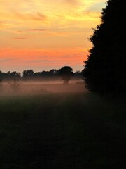 fantastic colorful sky after the sunset, fog at the field, countryside fantastic purple evening