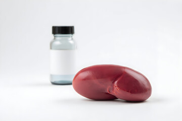 Human Spleen and Medicine Bottle