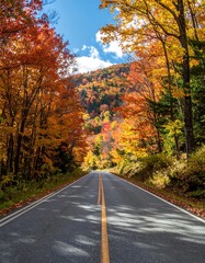 Naklejka premium Autumn road through vibrant foliage