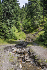Mountain river seen from a path to Cascada Cailor - waterfall located in Rodna Mountains national park in Romania