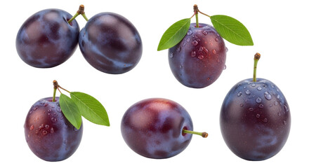 Isolated plums showing a close up of fresh plums full of moisture and natural colors