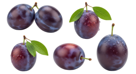 Isolated plums showing a close up of fresh plums full of moisture and natural colors